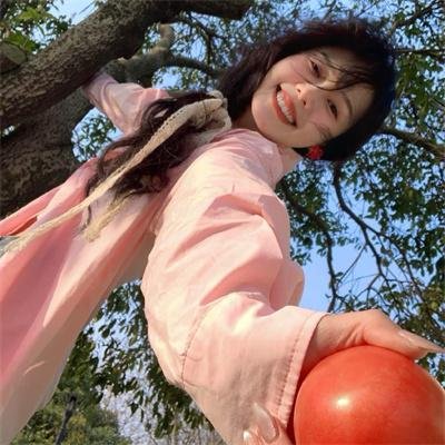 小查与寇弟的顶级冒险